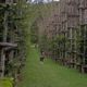 Illustration for article titled Behold These Incredible Works Of Architecture Made Out Of Living Trees